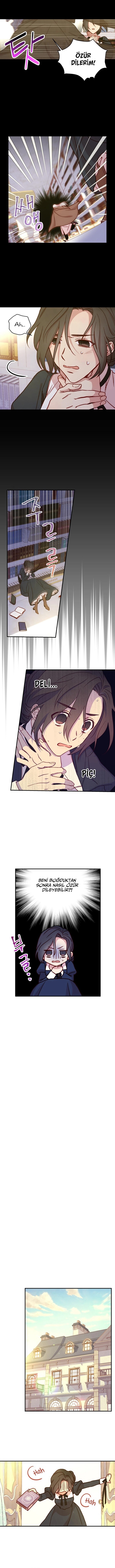 Sayfa 6